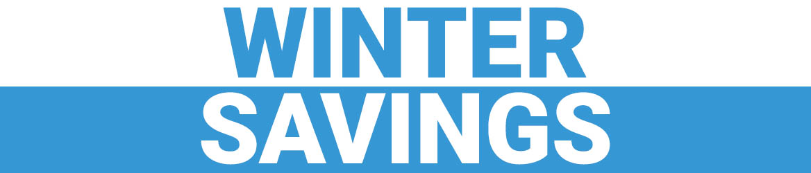 winter savings banner